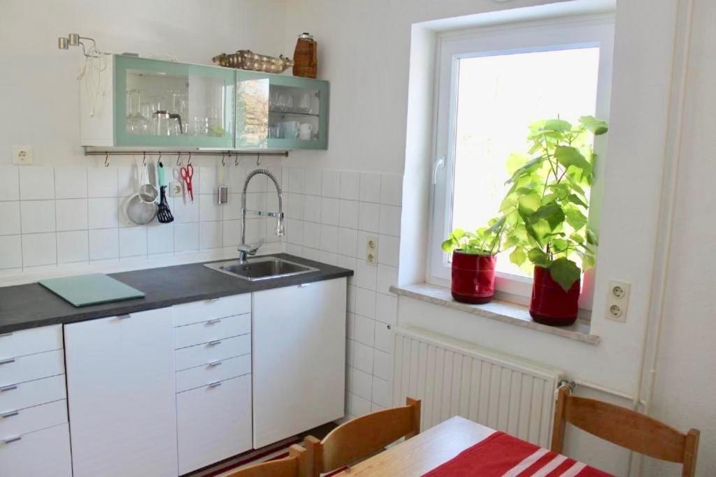 Zollhaus 26 Lejlighed Hohegeiß Eksteriør billede